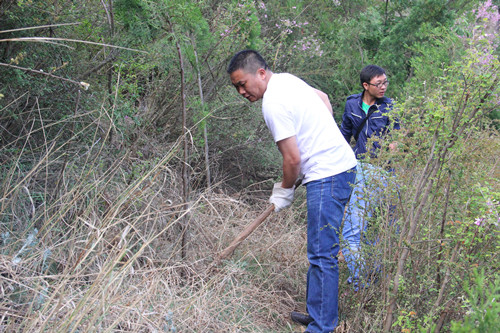 我為黨旗增光輝——公司機(jī)關(guān)黨支部組織開展鋤草促長活動(dòng)