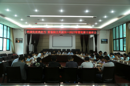 跨越發(fā)展敢擔(dān)當(dāng)，青春向上共成長—公司召開2017年青年骨干座談會(huì)