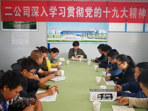 公司領(lǐng)導(dǎo)到項目講黨課