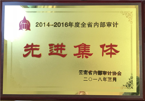 公司審計(jì)部和公司職工獲省內(nèi)部審計(jì)協(xié)會(huì)表彰