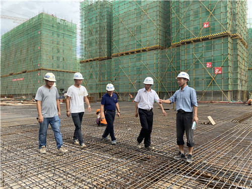 陳定華調(diào)研巧家北門安置點移民工程項目