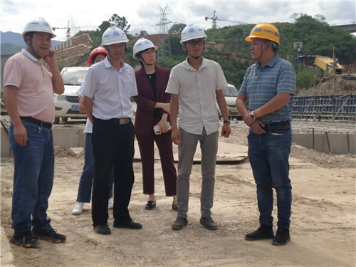 陳定華、胡云紅調(diào)研元蔓高速（玉溪段）一分部