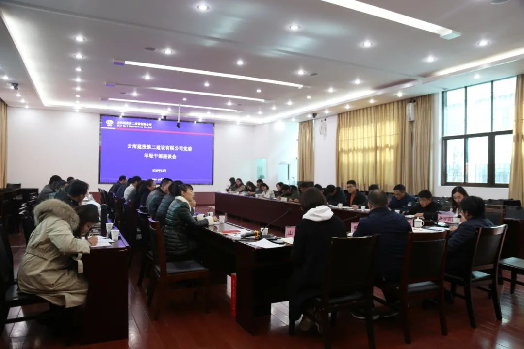 【公司要聞】只有創(chuàng)造價值，青春才是資本——公司黨委召開年輕干部座談會