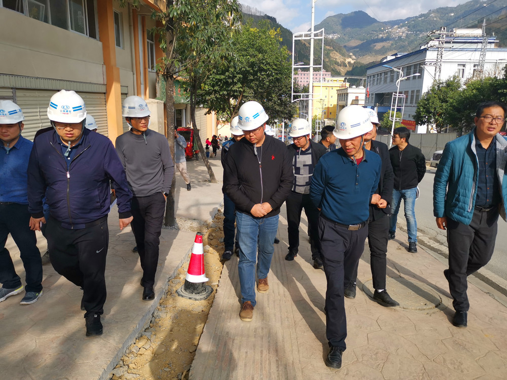 【調(diào)研檢查】陳定華一行調(diào)研檢查金平片區(qū)項目