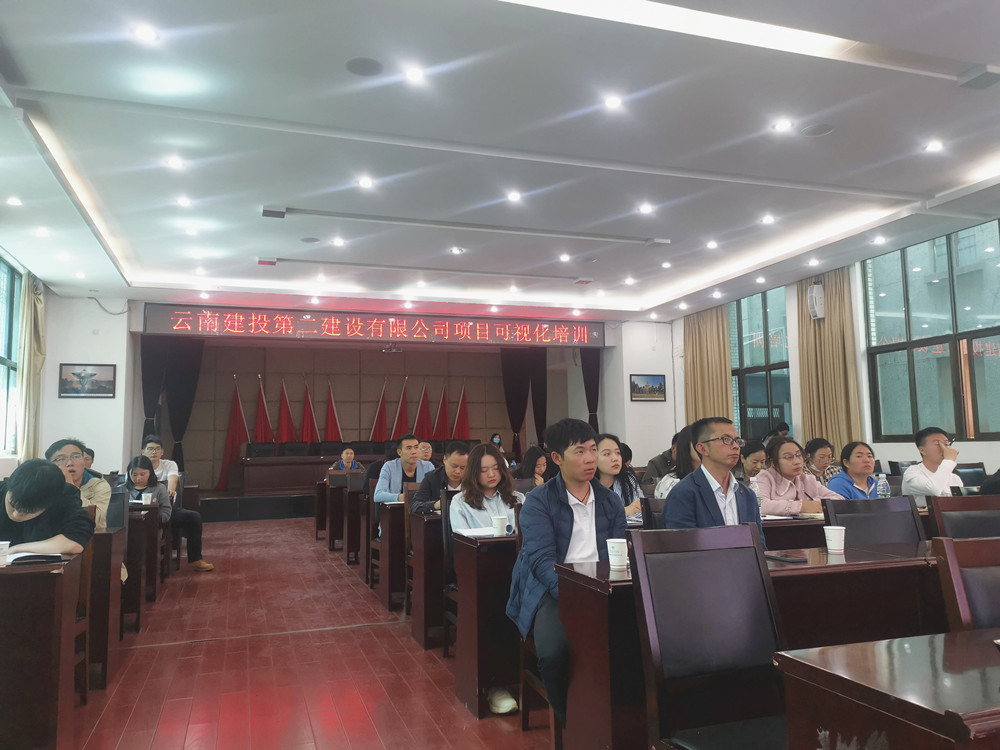 【公司動(dòng)態(tài)】公司舉辦項(xiàng)目可視化培訓(xùn)