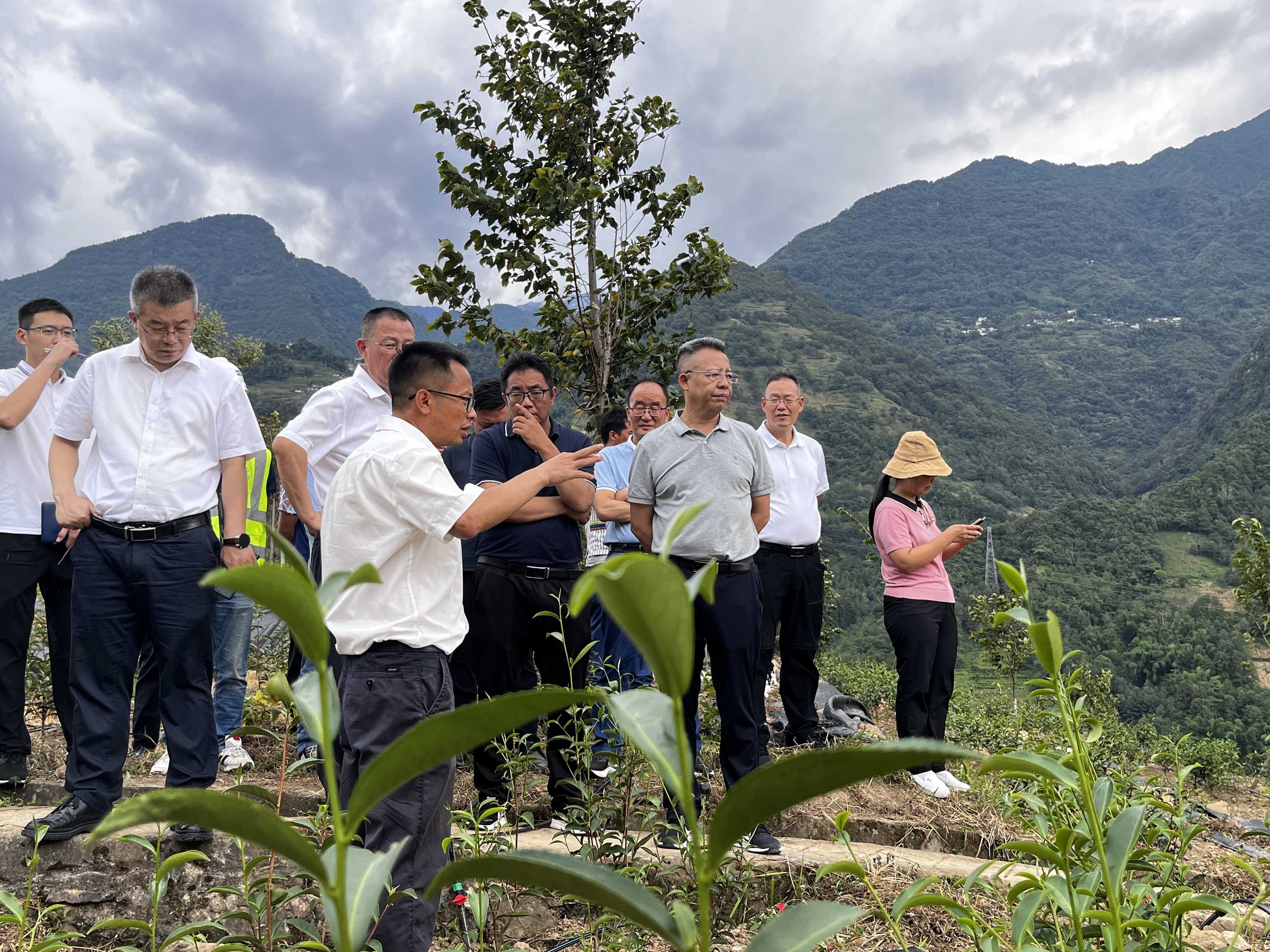 【調(diào)研檢查】怒江州州委副書記、州長(zhǎng)李文輝到鹿馬登鄉(xiāng)小康村建設(shè)項(xiàng)目調(diào)研指導(dǎo)工作